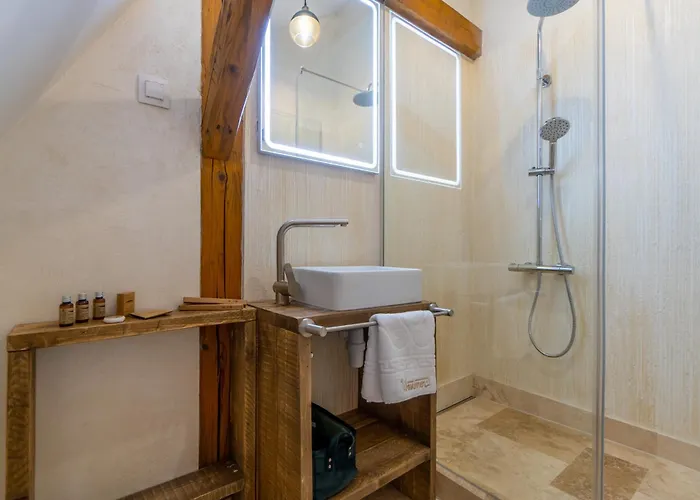 Wanderer Sighisoara Hotel