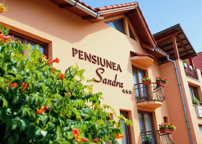 Pensiunea Sandra Ocna Şugatag