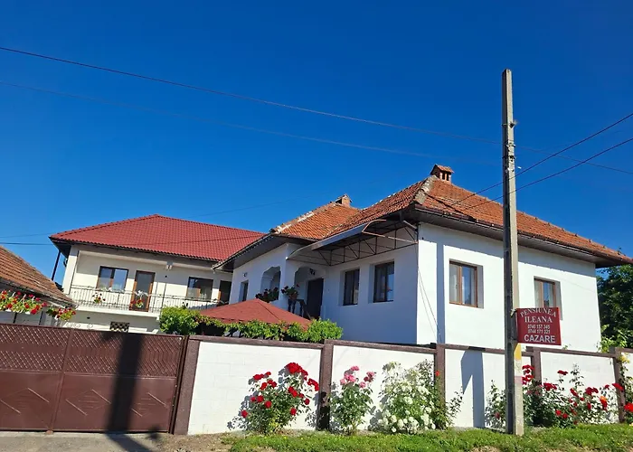 Pensiunea Ileana Novaci Străini