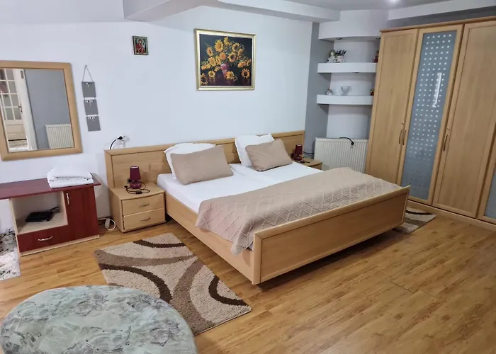 Casa Flavius - Ca La Mama Acasa Resita