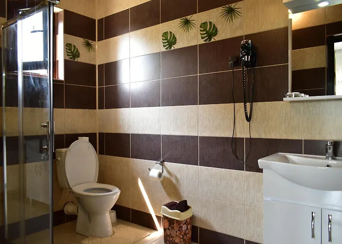 Pensiunea Casa Nusa Baia de Fier