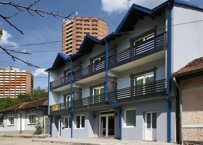 Pensiunea Floare de Colt Băile Herculane