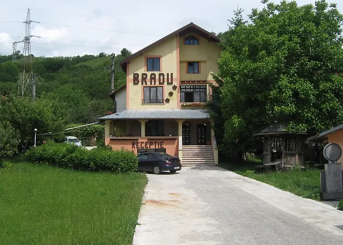 Pensiunea BRADU Piatra Neamţ