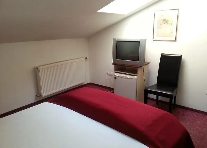 Pensiunea Pura Vida Timişoara