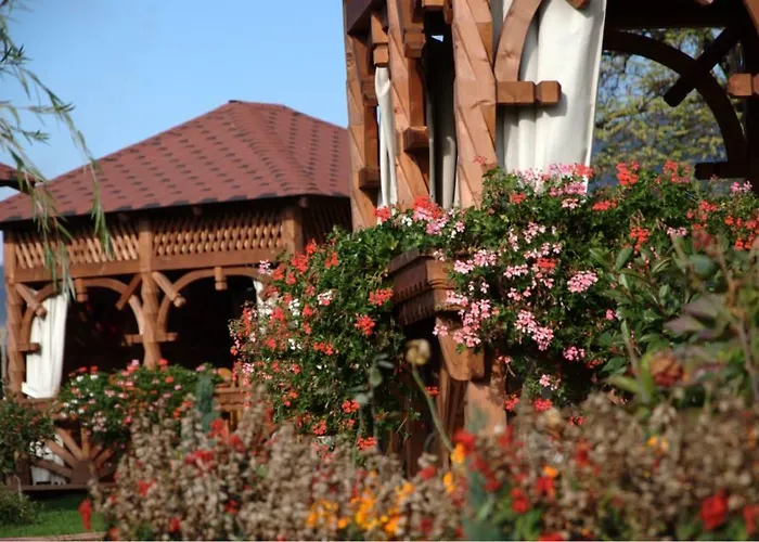 Pensiunea Cabana Soimul Comanesti 