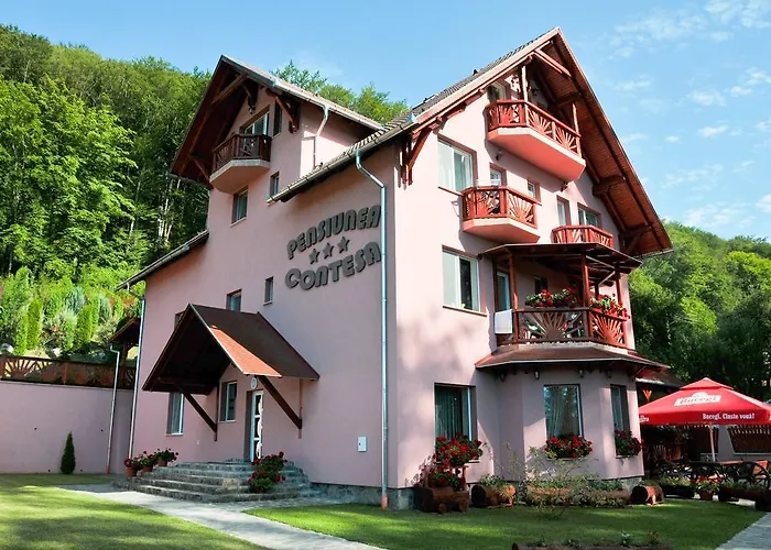 Pensiunea Contesa Sovata