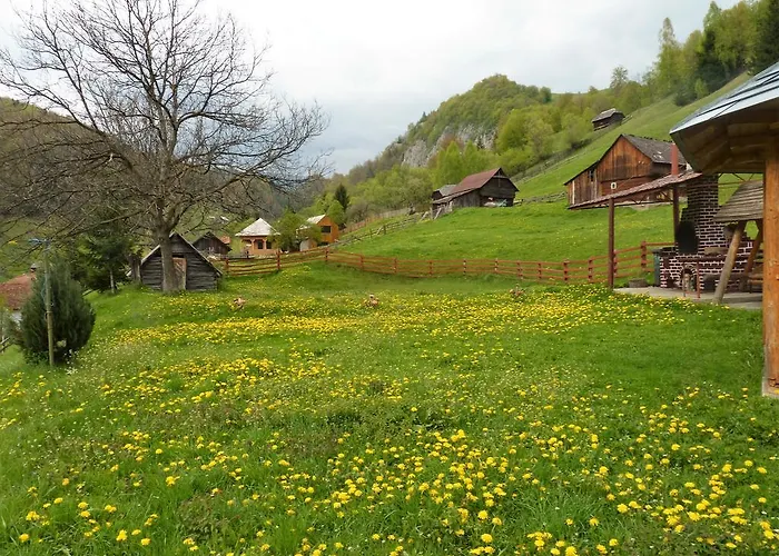Pensiunea La Ionica Dâmbovicioara