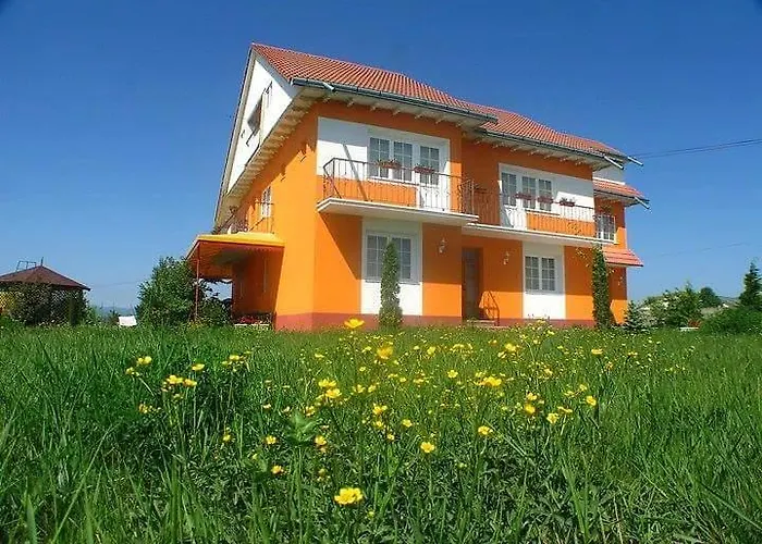 Vila Vlad Târgu Neamţ