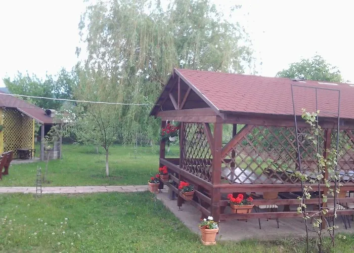 Vila Vlad Târgu Neamţ