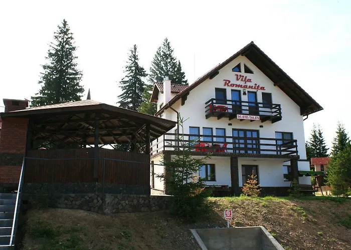 Vila Romanita Păltiniş