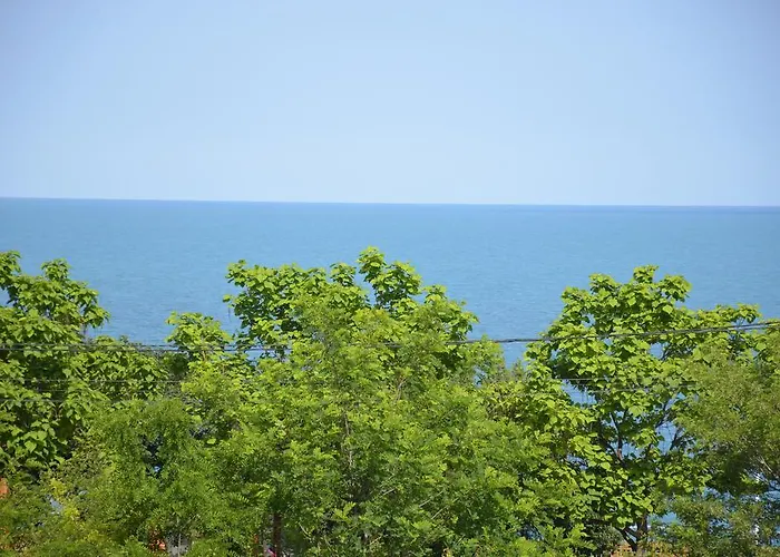 Razvan Holiday Costineşti