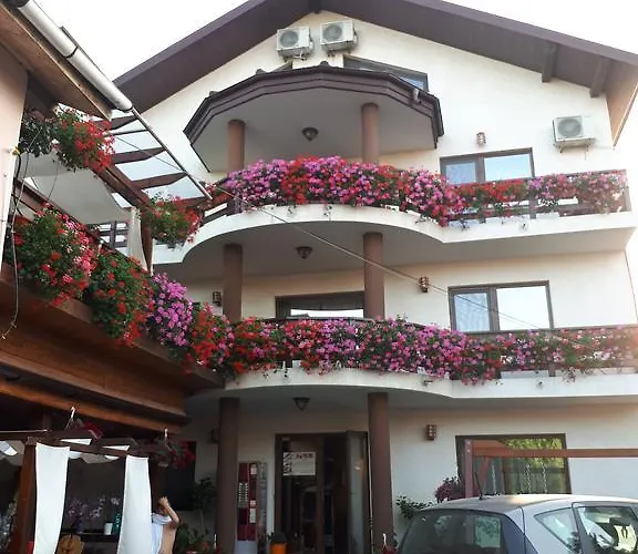 Pensiunea Daiana Năvodari