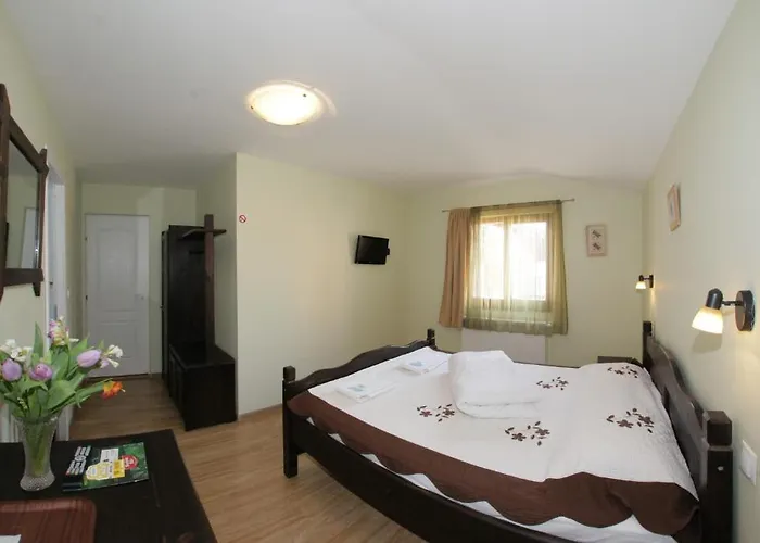 Casa Oana Hotel Iasi