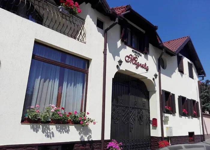 Pensiunea Magnolia Sibiu