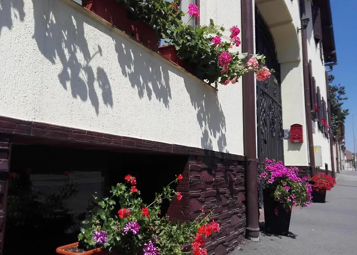 Pensiunea Magnolia Sibiu