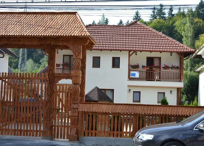 Casa Bunicii Hotel Moisei