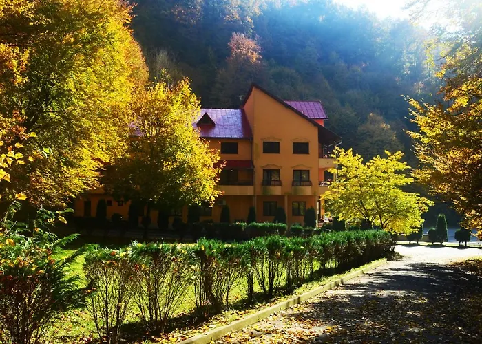 Pensiunea Magura Baia Mare