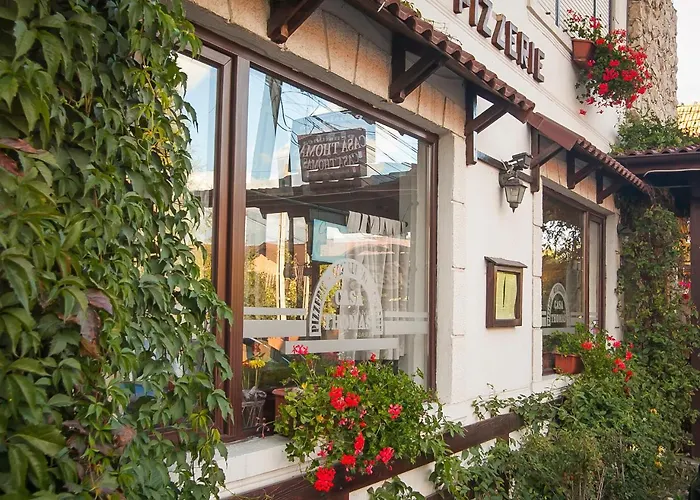 Casa Thomas Bran Hotel Bran 