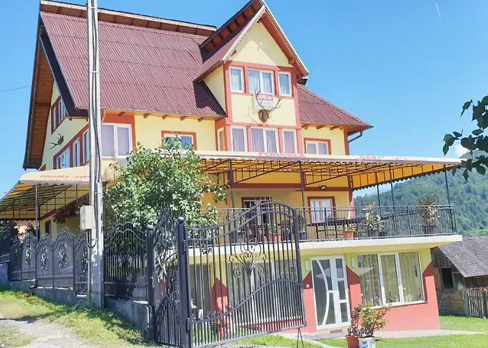 Pensiunea Gaby Dâmbovicioara