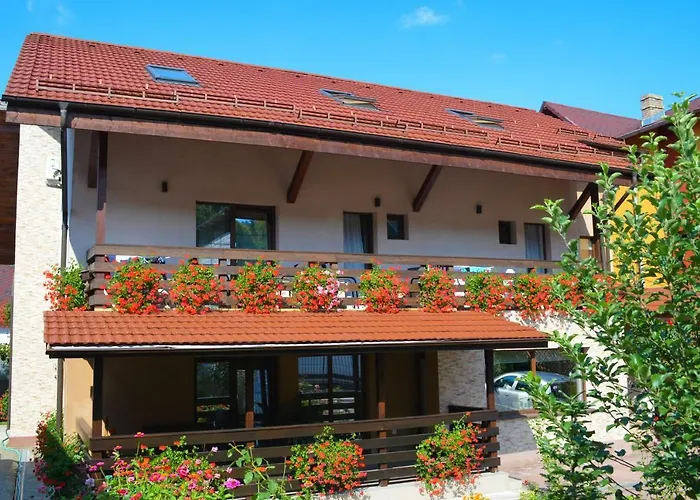 Vila Andrei Băile Olăneşti