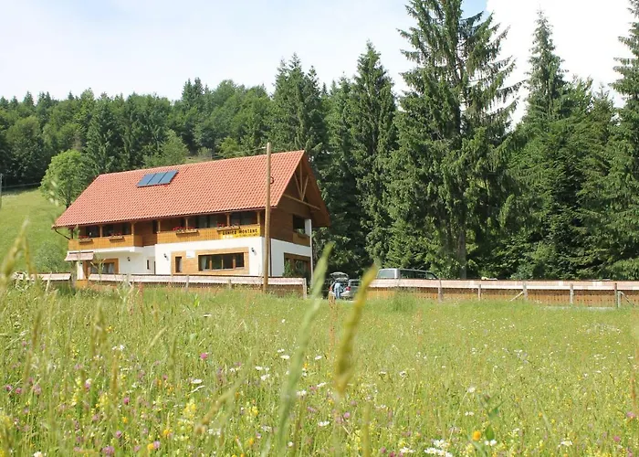Arnica Montana Hotel Arieşeni