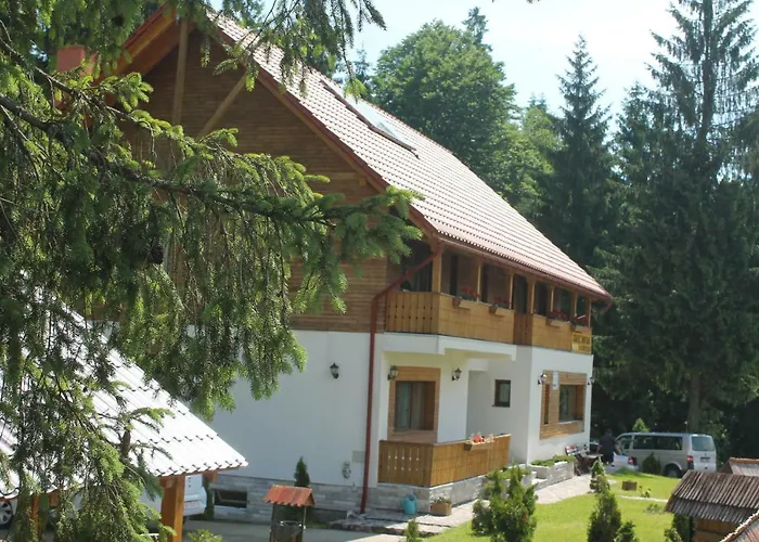 Arnica Montana Hotel Arieşeni