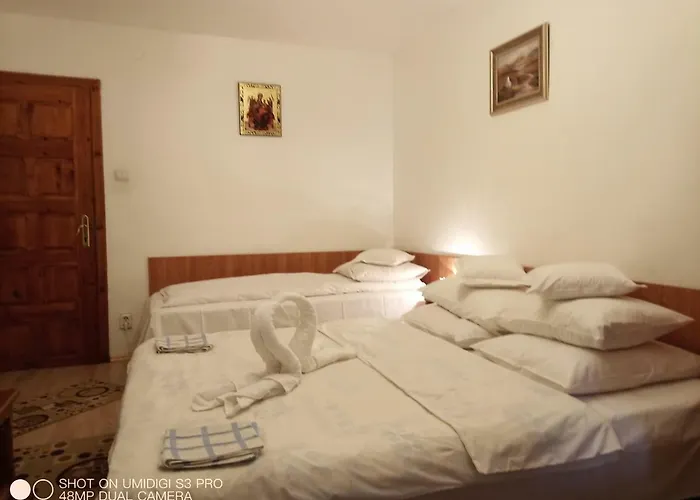 Casa Rodica str. Clabucetului 28 Hotel Buşteni
