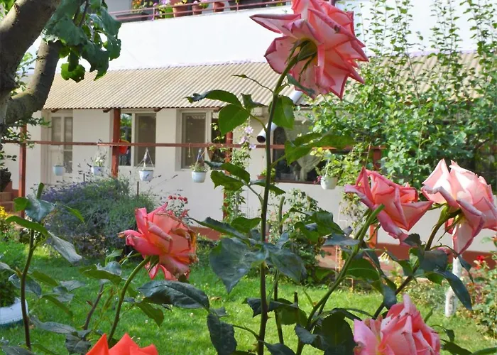 Casa Gia Hotel Costineşti