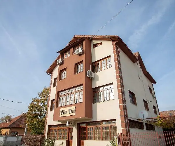 Vila Tei Guesthouse Târgu Jiu