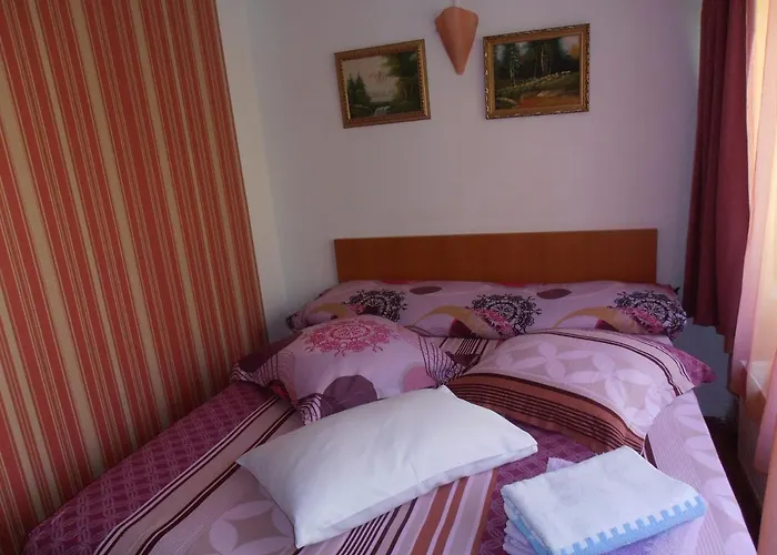 Pensiunea Sans Rival Iasi