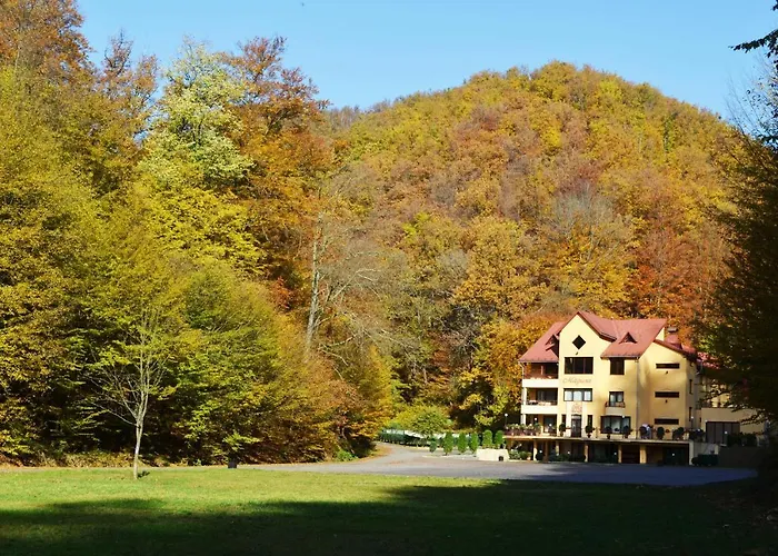 Pensiunea Magura Baia Mare