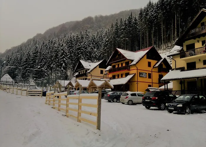 Pensiunea Valea Cascadelor Rucăr